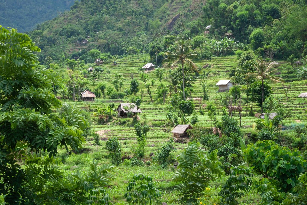 Bali Travel Guide 2026: Everything You Need to Know