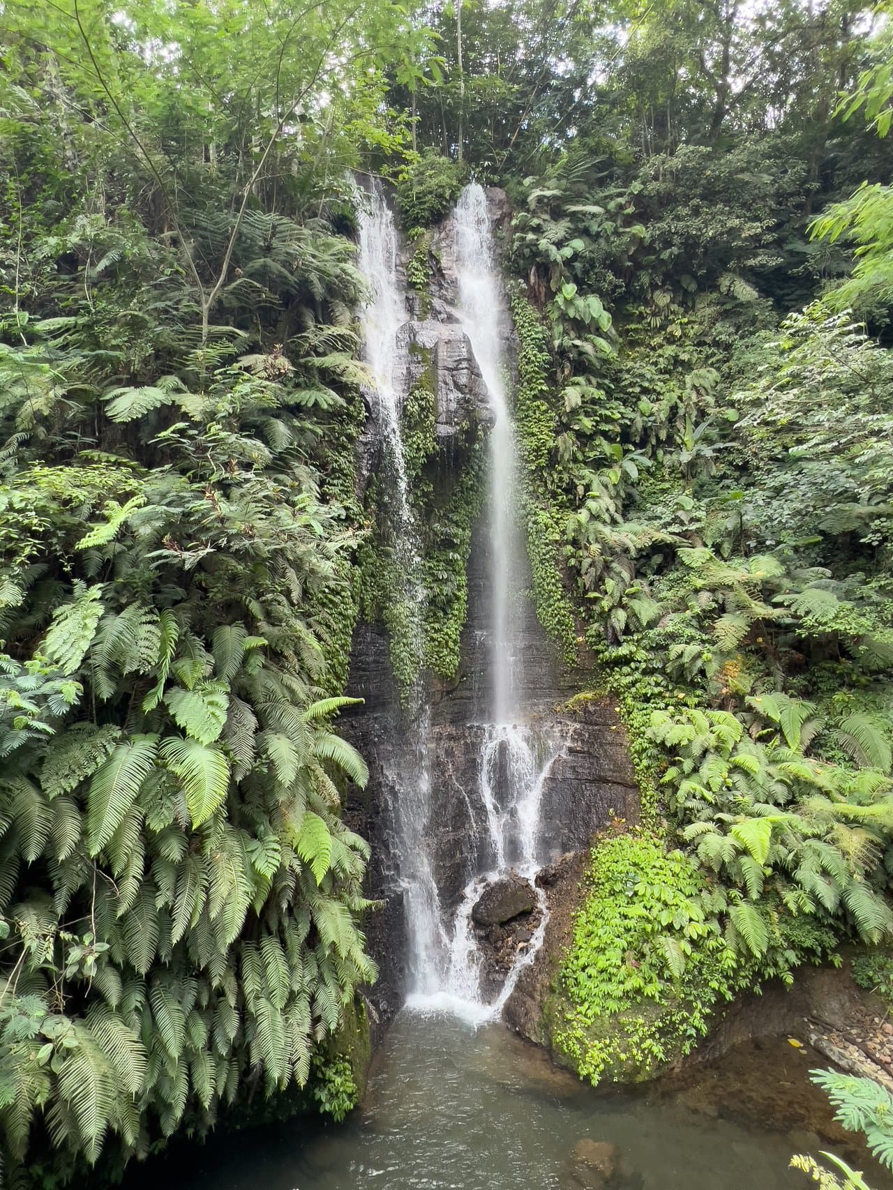 North Bali Day Trip: Complete 2026 Guide to the Island's Hidden North