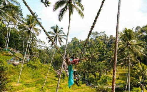 Alas Harum Rice Terrace & Swing Experience